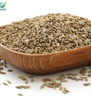 Cumin Seeds (Jeera)