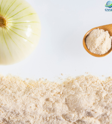 Dehydrated Onion powder