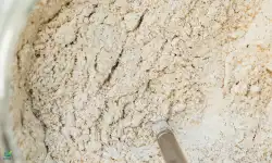 Dried Fruits Powder