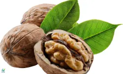 Walnuts (Akhrot)