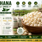 Makhana Wholesale Price in Bihar
