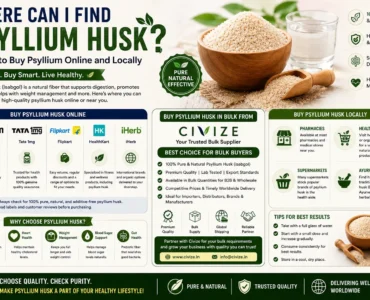 Where Can I Find Psyllium Husk | bulk isabgol buy